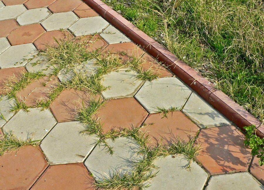 Как можно хитро заделать щели в тротуарной плитке, чтобы трава не портила вид