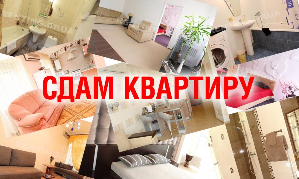 Airbnb: как сдать квартиру в аренду? личный опыт хозяина — 2022