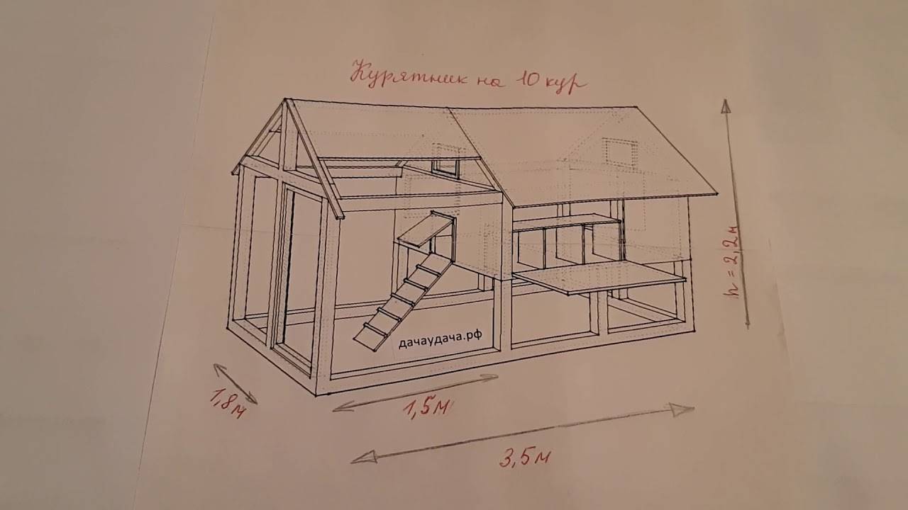 Чертеж летнего курятника